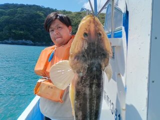 マゴチ