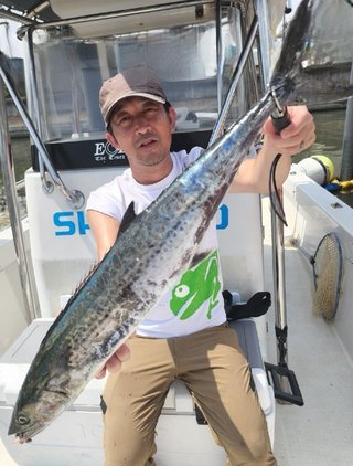 サワラ