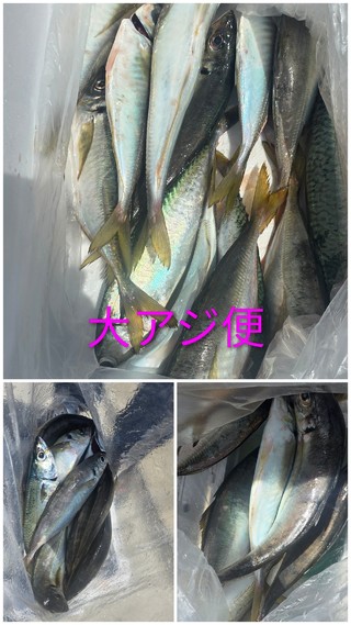 アジ