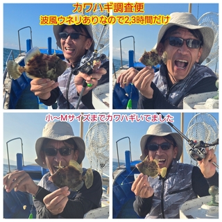 カワハギ