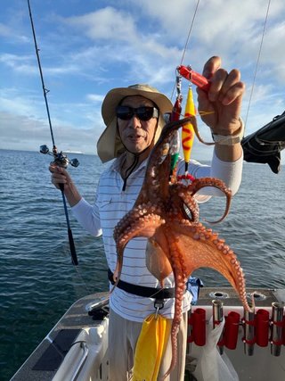 タコ