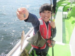 シロギス
