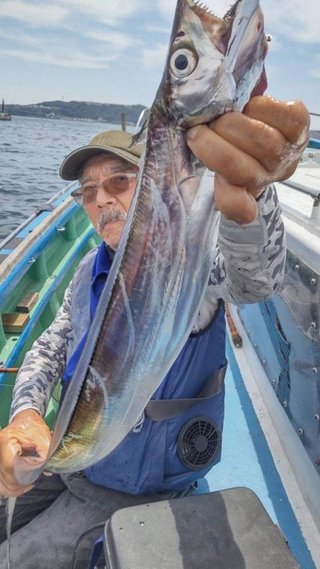 シロギス