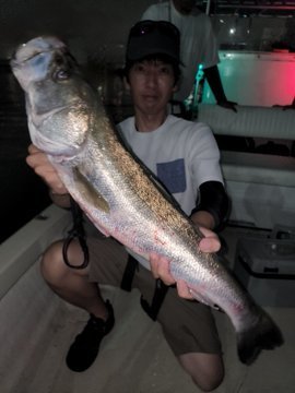 アジ