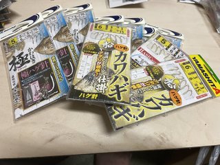 スルメイカ