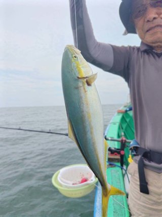 カマス