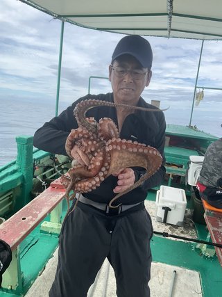 タコ