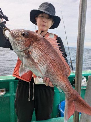 マダイ