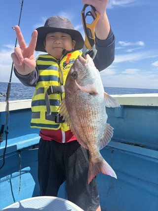 マダイ