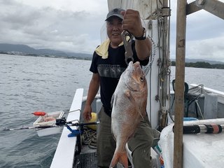 マダイ