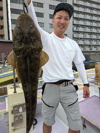 マゴチ