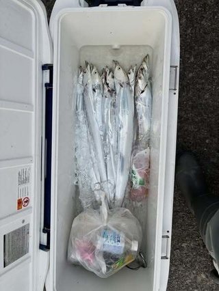 タチウオ