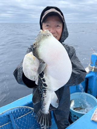 ショウサイフグ