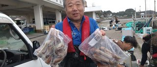 スルメイカ