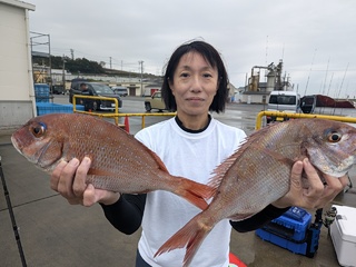 マダイ