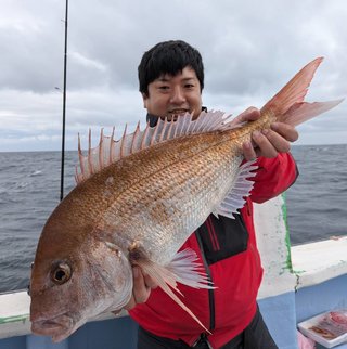 マダイ