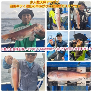 シロアマダイ