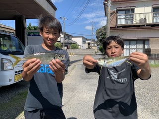 アジ