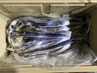 タチ