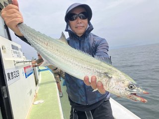 サワラ