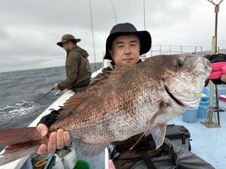 マダイ