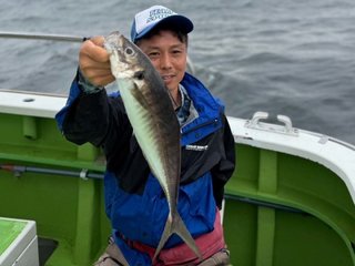 アジ