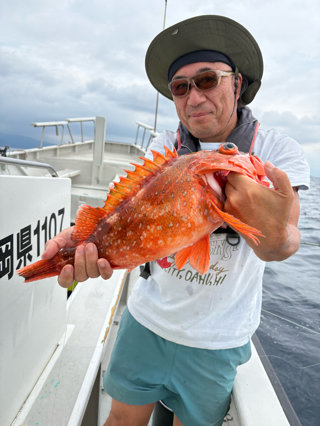オニカサゴ