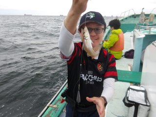 シロギス