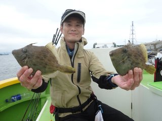 カワハギ
