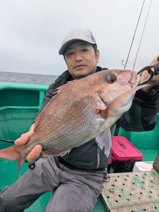 マダイ
