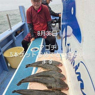 マゴチ