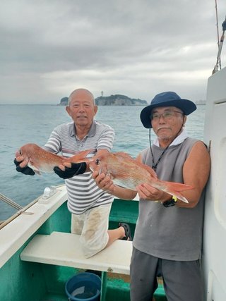 マダイ