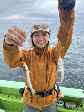 シロギス