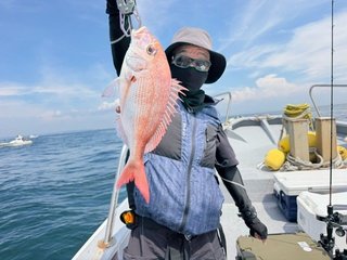 マダイ