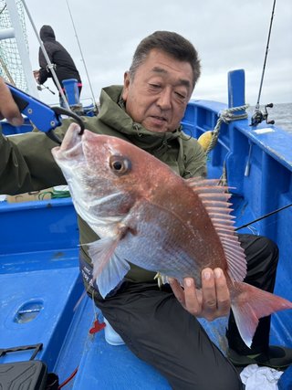マダイ