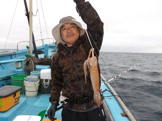 スルメイカ