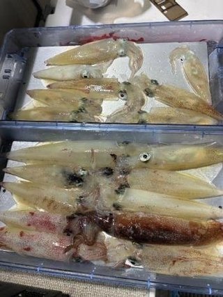 マイカ