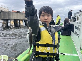 マアジ