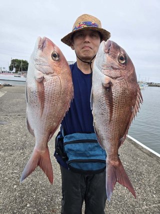 マダイ