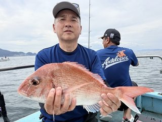 マダイ