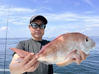 マダイ