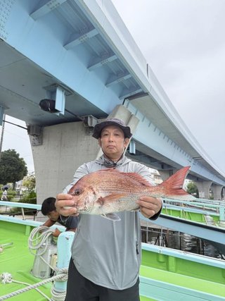 マダイ