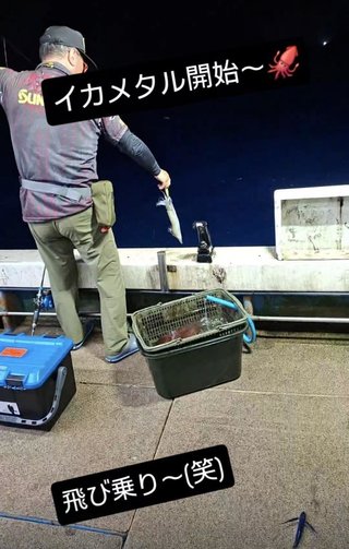 イカ