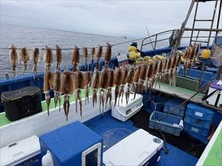 スルメイカ