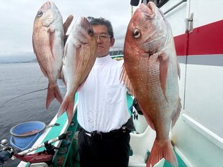 マダイ