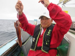 スルメイカ