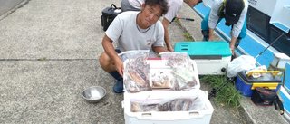 スルメイカ