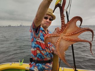 マダコ