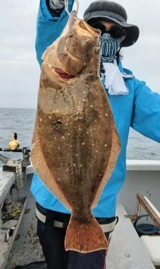ヒラメ