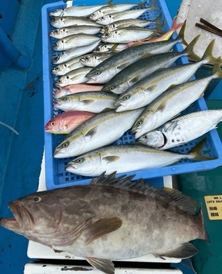 イナダ